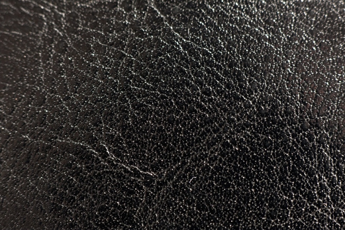 Protected leather